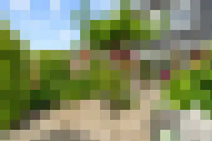 David van Bourgondiëweg 37 Wijk bij Duurstede thumbnail 38