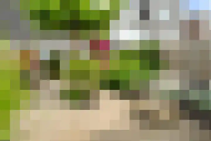 David van Bourgondiëweg 37 Wijk bij Duurstede thumbnail 39