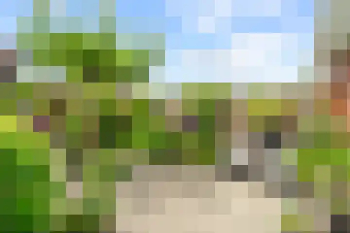 David van Bourgondiëweg 37 Wijk bij Duurstede thumbnail 41