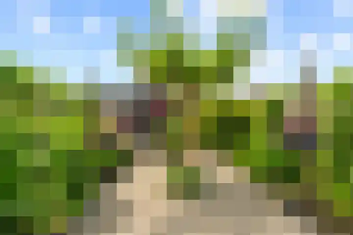 David van Bourgondiëweg 37 Wijk bij Duurstede thumbnail 42
