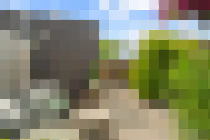 David van Bourgondiëweg 37 Wijk bij Duurstede thumbnail 43