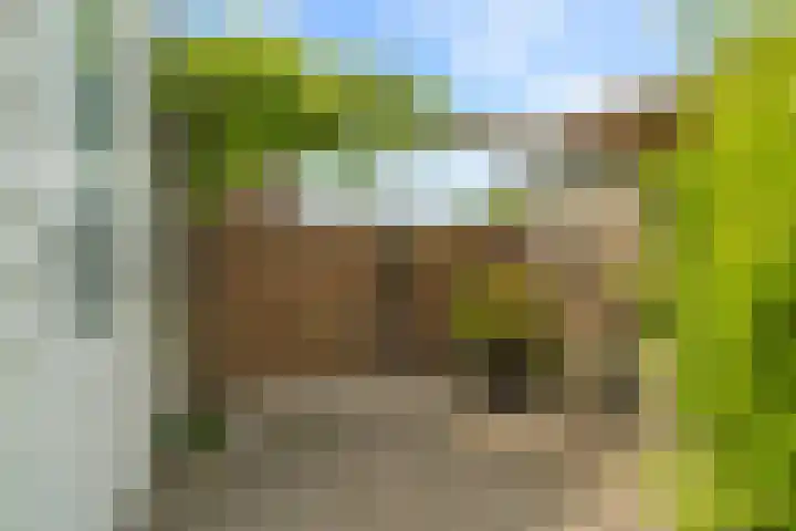 David van Bourgondiëweg 37 Wijk bij Duurstede thumbnail 44