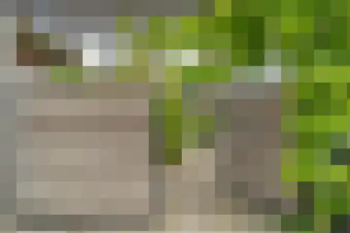 David van Bourgondiëweg 37 Wijk bij Duurstede thumbnail 45