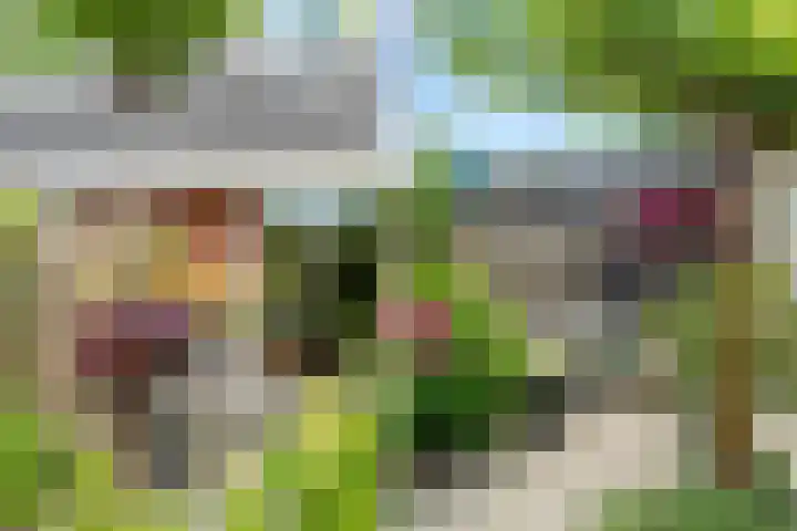 David van Bourgondiëweg 37 Wijk bij Duurstede thumbnail 46