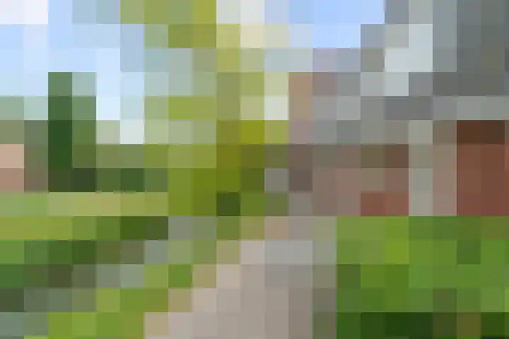 David van Bourgondiëweg 37 Wijk bij Duurstede thumbnail 49
