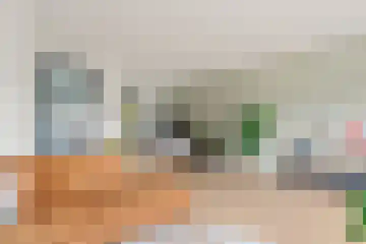 David van Bourgondiëweg 37 Wijk bij Duurstede thumbnail 5