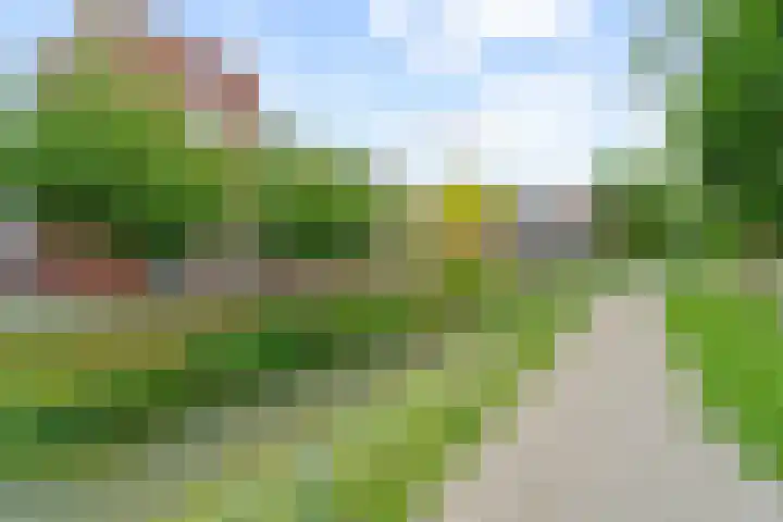 David van Bourgondiëweg 37 Wijk bij Duurstede thumbnail 52