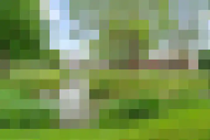 David van Bourgondiëweg 37 Wijk bij Duurstede thumbnail 53
