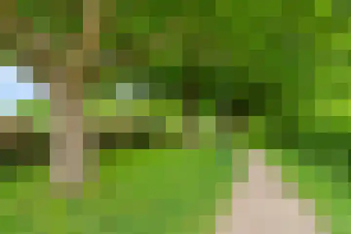 David van Bourgondiëweg 37 Wijk bij Duurstede thumbnail 54