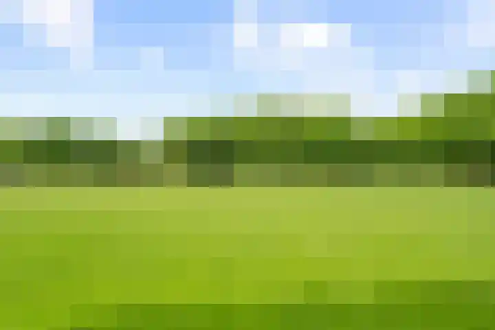 David van Bourgondiëweg 37 Wijk bij Duurstede thumbnail 55