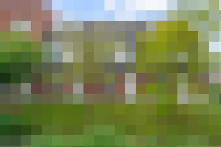 David van Bourgondiëweg 37 Wijk bij Duurstede thumbnail 57