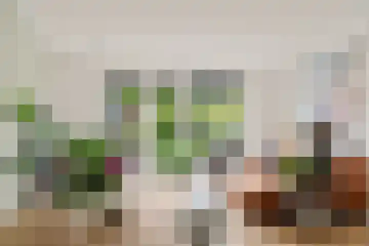 David van Bourgondiëweg 37 Wijk bij Duurstede thumbnail 6