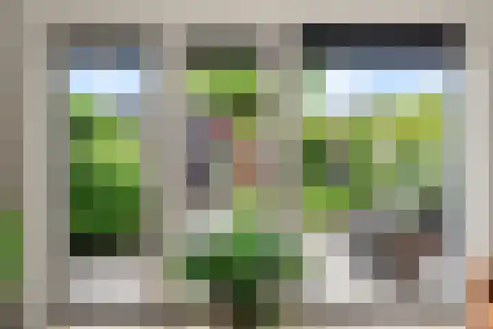 David van Bourgondiëweg 37 Wijk bij Duurstede thumbnail 8