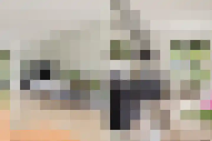 David van Bourgondiëweg 37 Wijk bij Duurstede thumbnail 9