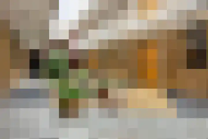 David van Bourgondiëweg 5 07 Wijk bij Duurstede thumbnail 31