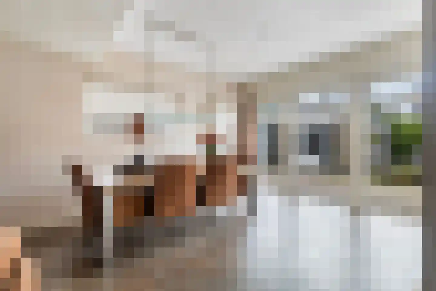 David van Goirlestrjitte 11 Koarnjum thumbnail 11