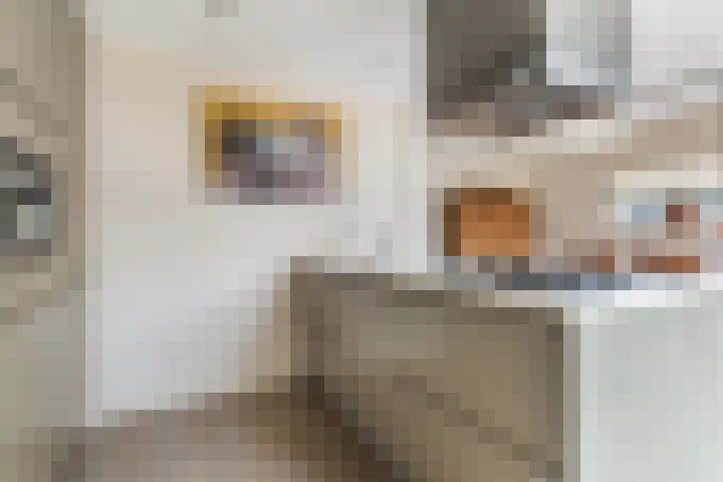 David van Goirlestrjitte 11 Koarnjum thumbnail 17
