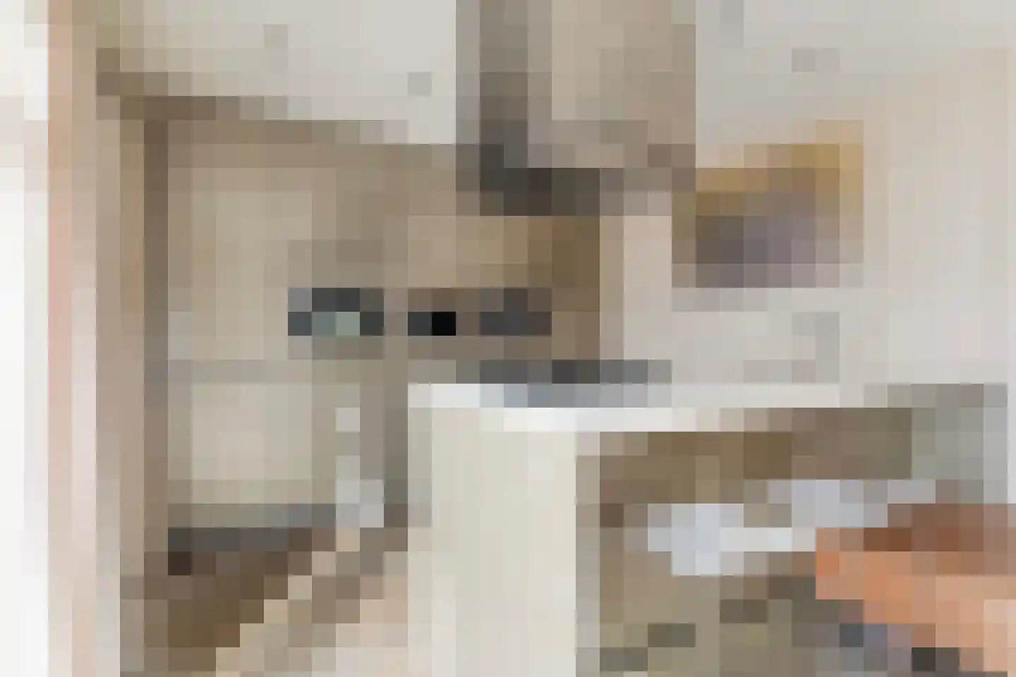 David van Goirlestrjitte 11 Koarnjum thumbnail 18