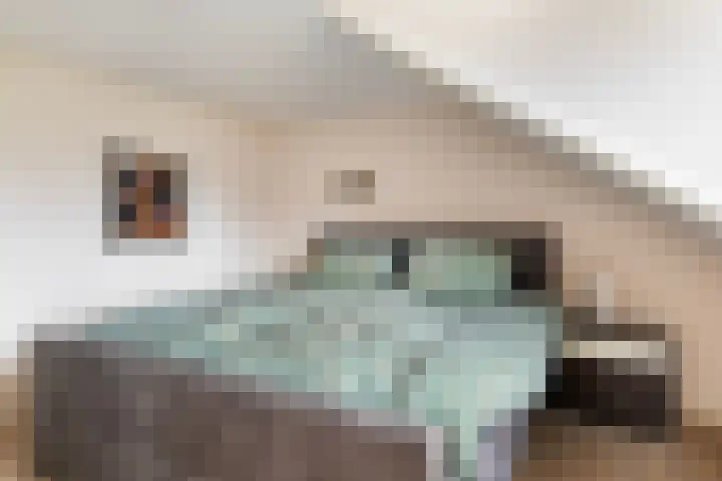 David van Goirlestrjitte 11 Koarnjum thumbnail 31