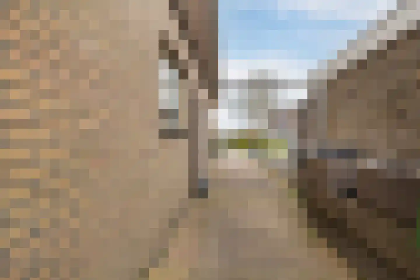 David van Goirlestrjitte 11 Koarnjum thumbnail 41