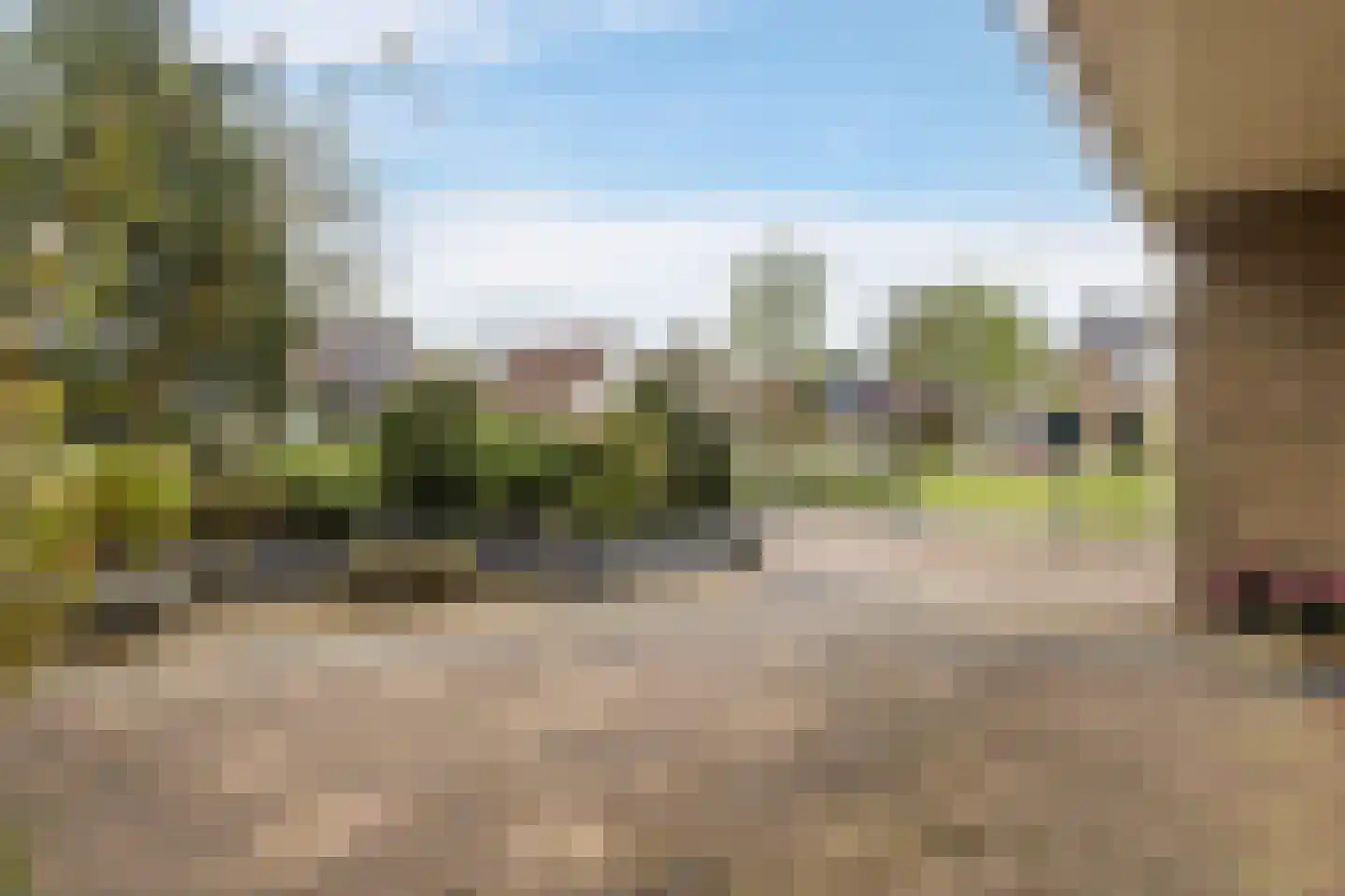 David van Goirlestrjitte 11 Koarnjum thumbnail 43