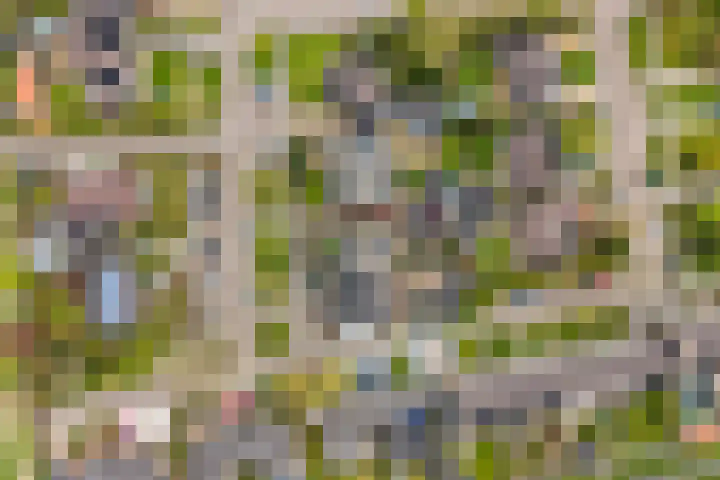 David van Goirlestrjitte 11 Koarnjum thumbnail 47