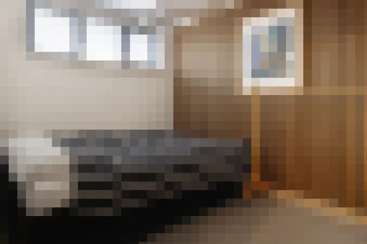 David van Mollemstraat 145 Utrecht thumbnail 41