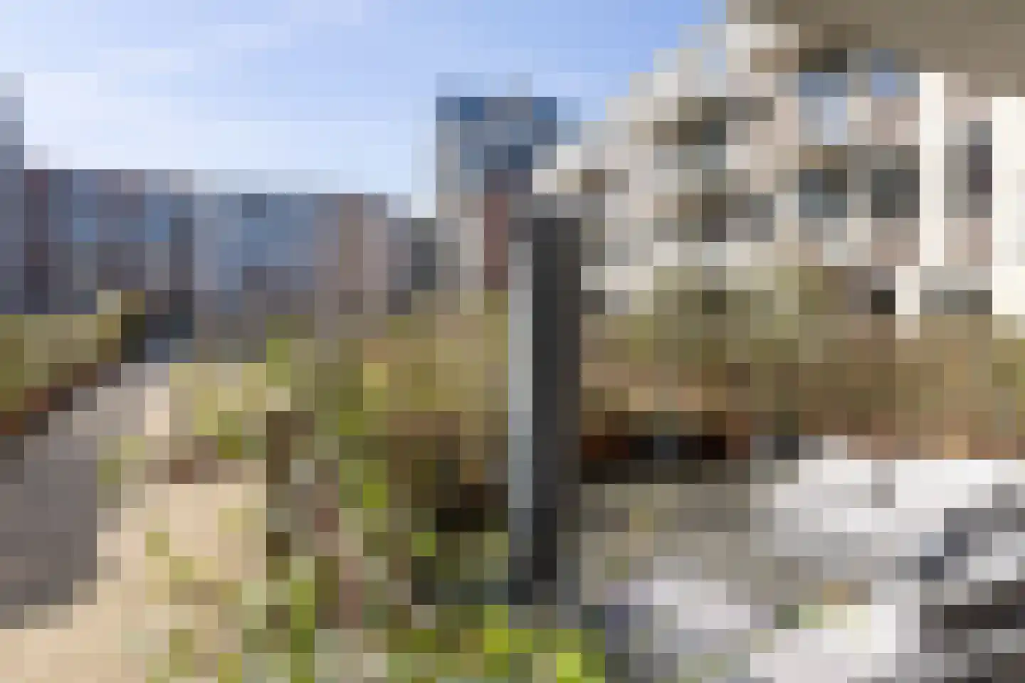 David van Mollemstraat 145 Utrecht thumbnail 51