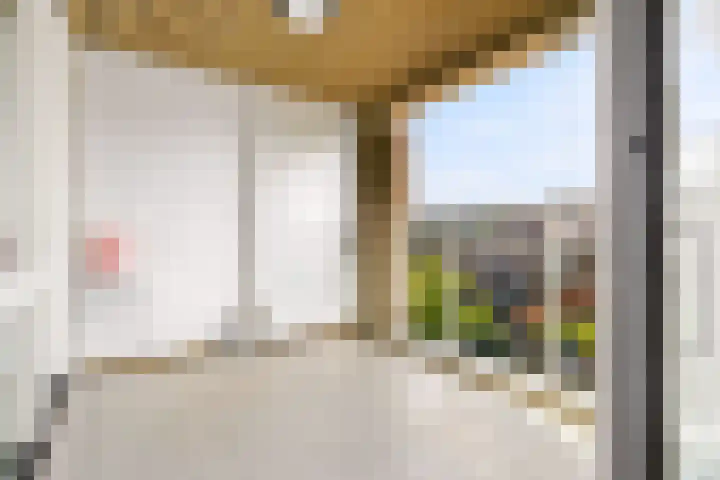 David van Mollemstraat 23 Utrecht thumbnail 26