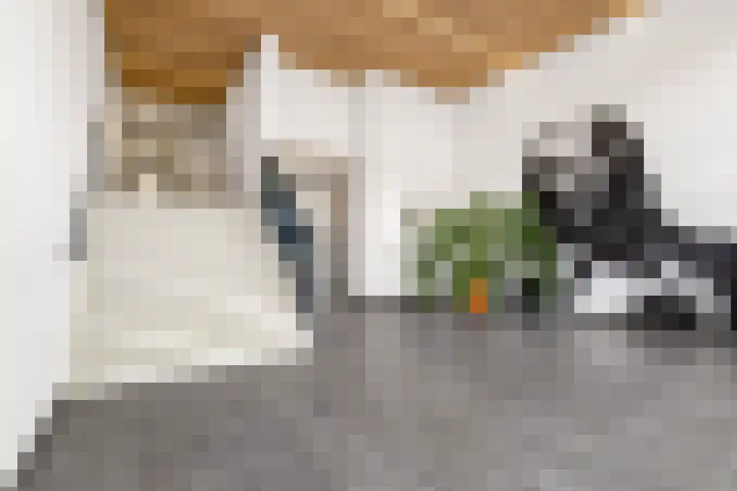 David van Mollemstraat 23 Utrecht thumbnail 31