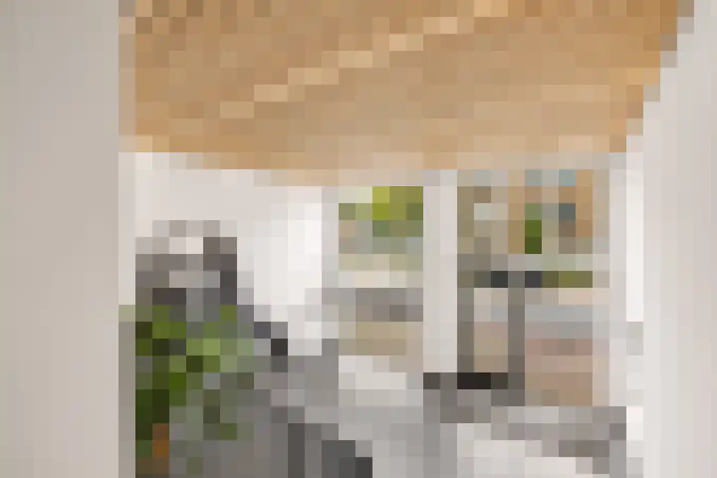 David van Mollemstraat 23 Utrecht thumbnail 32