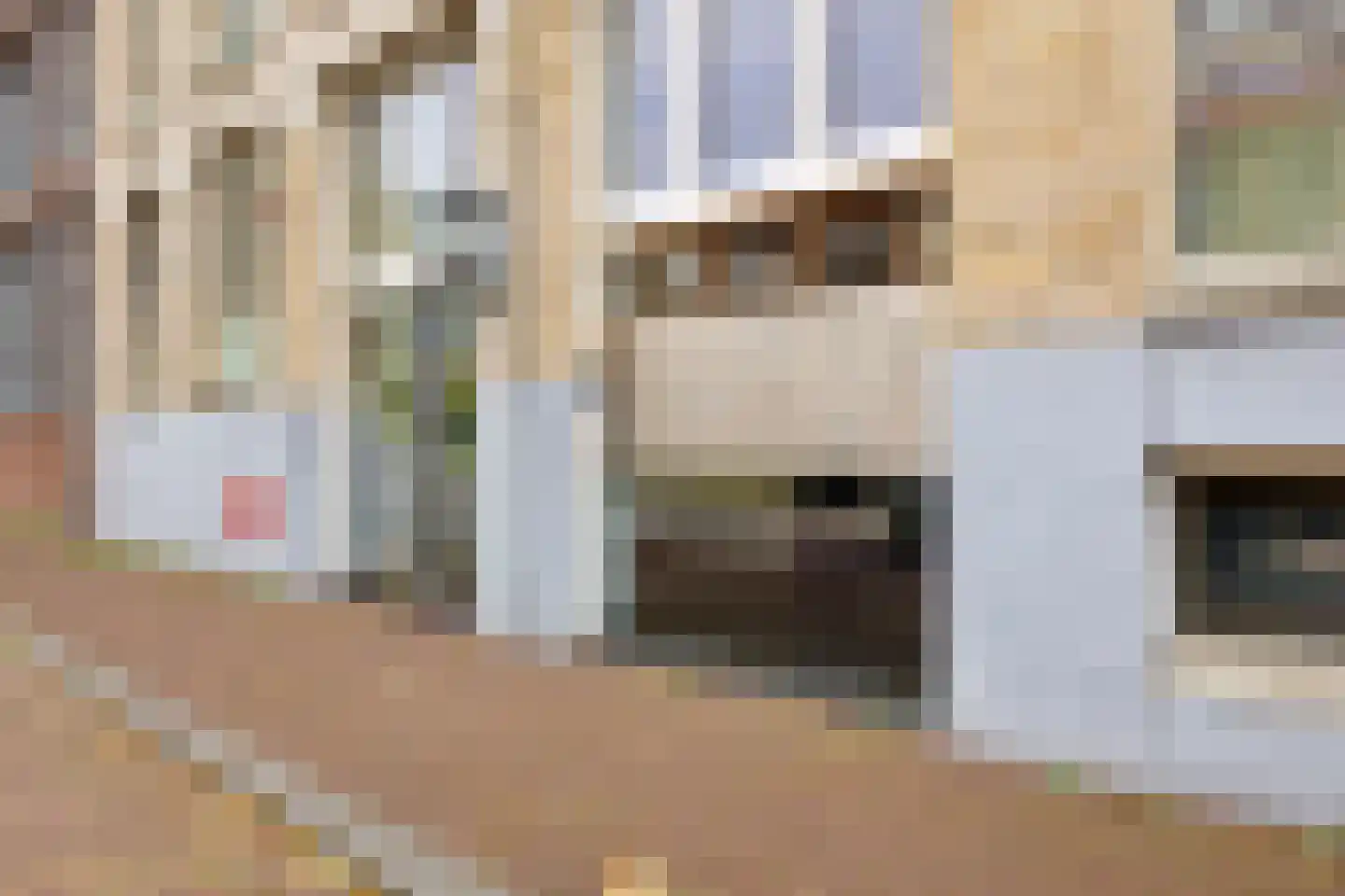 David van Mollemstraat 23 Utrecht thumbnail 33