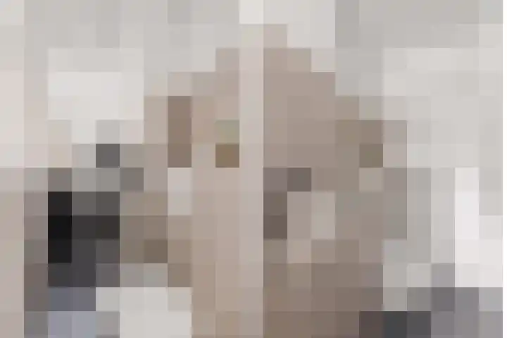 David van Mollemstraat 3 2 Utrecht thumbnail 36