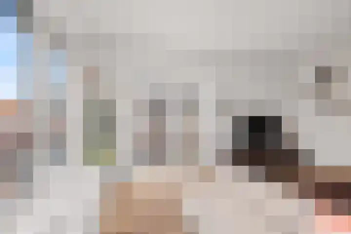 David van Mollemstraat 3 2 Utrecht thumbnail 8