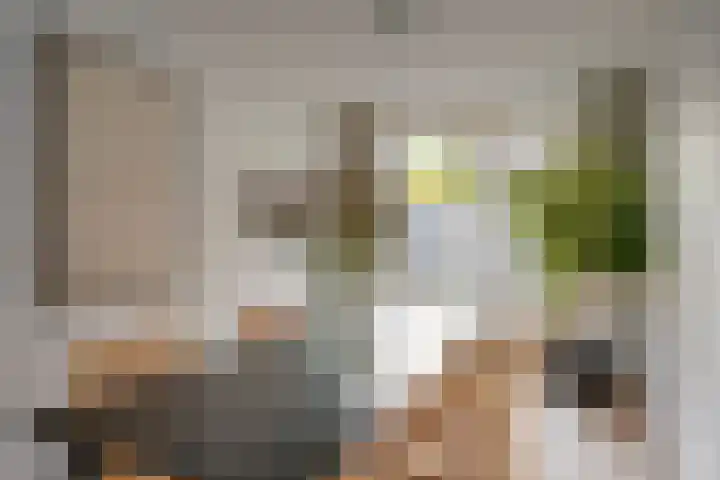 David van Mollemstraat 3 Utrecht thumbnail 13
