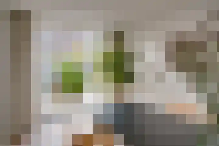 David van Mollemstraat 3 Utrecht thumbnail 14