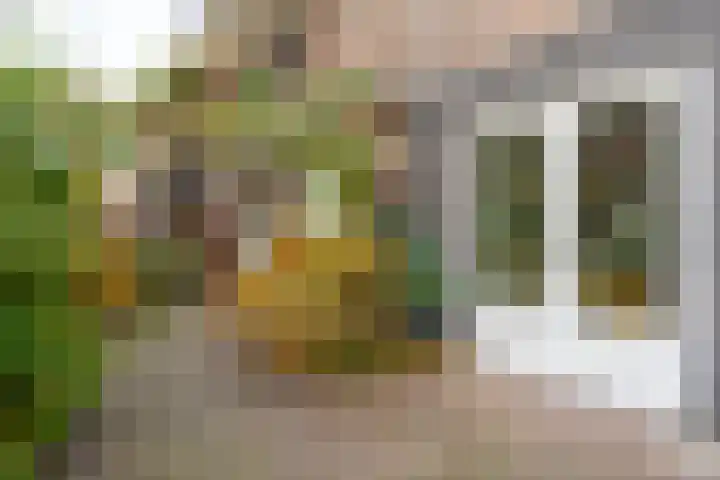 David van Mollemstraat 3 Utrecht thumbnail 17
