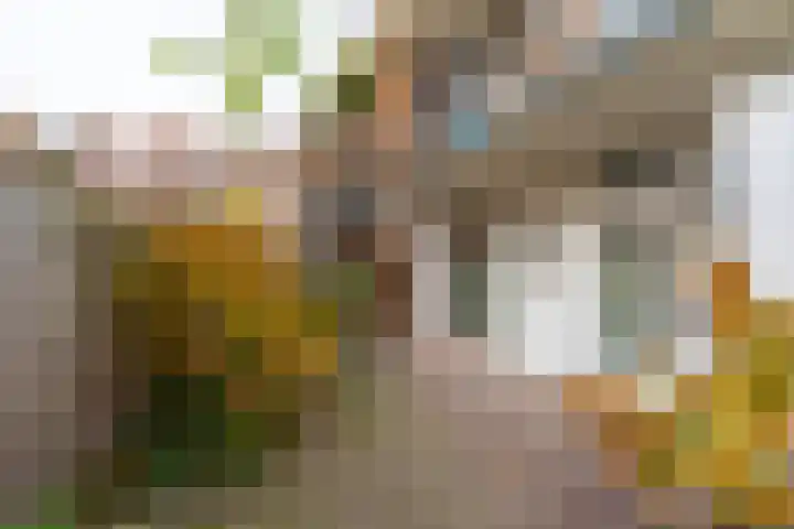 David van Mollemstraat 3 Utrecht thumbnail 18