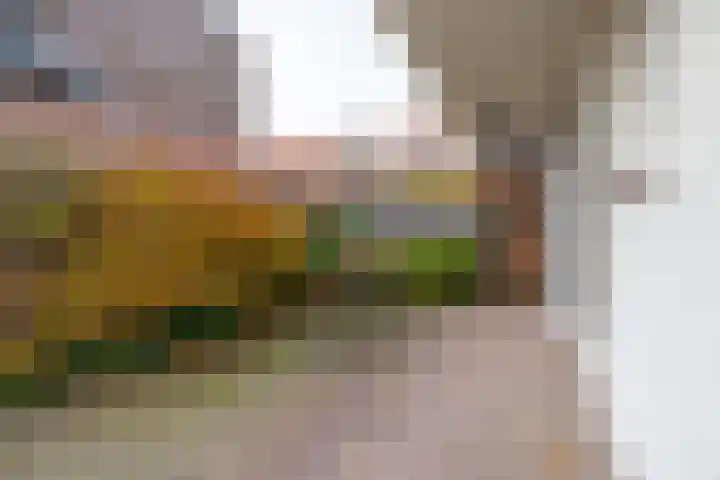 David van Mollemstraat 3 Utrecht thumbnail 19