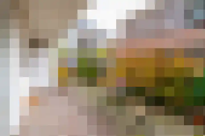 David van Mollemstraat 3 Utrecht thumbnail 20