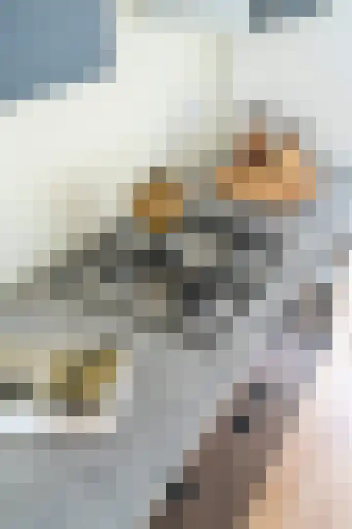 David van Mollemstraat 3 Utrecht thumbnail 23