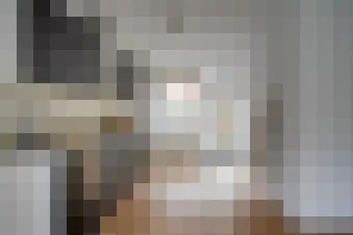 David van Mollemstraat 3 Utrecht thumbnail 25