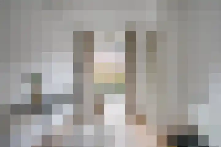 David van Mollemstraat 3 Utrecht thumbnail 26