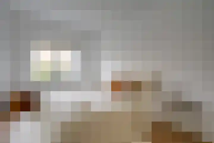 David van Mollemstraat 3 Utrecht thumbnail 29