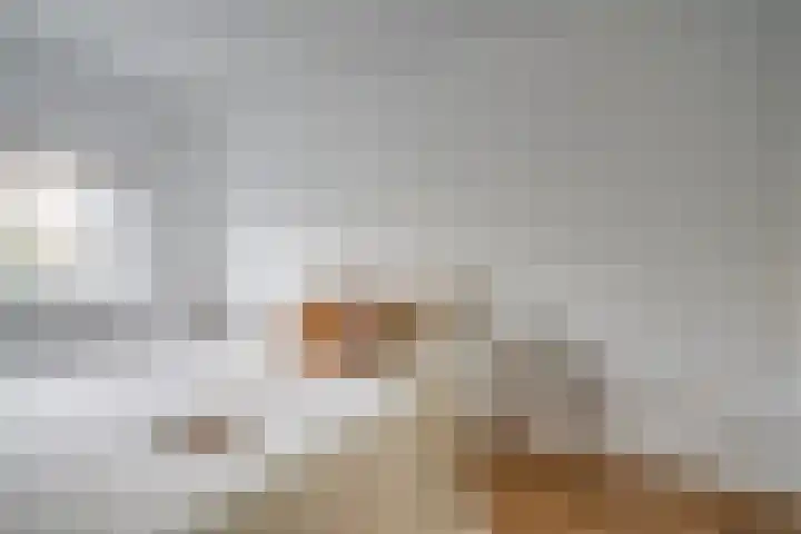 David van Mollemstraat 3 Utrecht thumbnail 30
