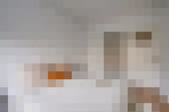 David van Mollemstraat 3 Utrecht thumbnail 31