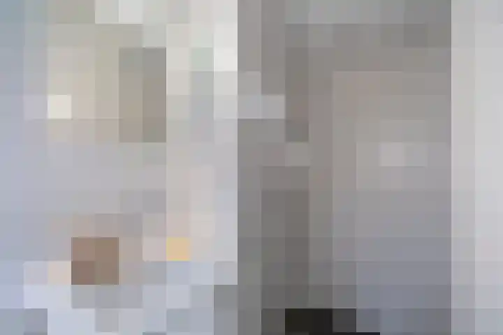 David van Mollemstraat 3 Utrecht thumbnail 33