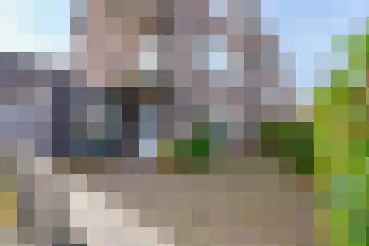 David van Mollemstraat 3 Utrecht thumbnail 41