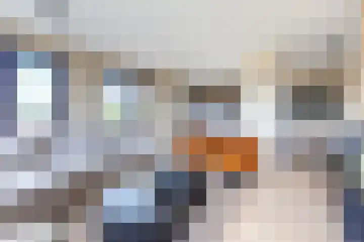 David van Mollemstraat 33 Utrecht thumbnail 12