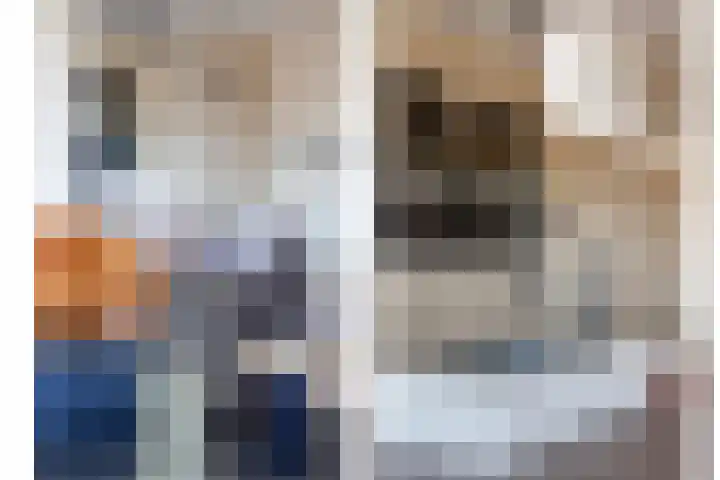 David van Mollemstraat 33 Utrecht thumbnail 15